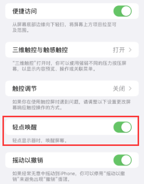 天全苹果授权维修站分享iPhone轻点无法唤醒怎么办 