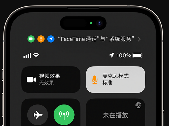 天全苹果授权维修网点分享iPhone在通话时让你的声音更清晰 