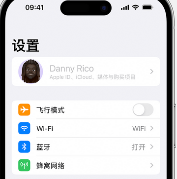 天全appleID维修服务iPhone设置中Apple ID显示为灰色无法使用 