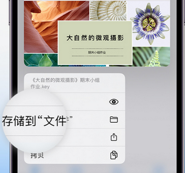 天全apple维修中心分享iPhone文件应用中存储和找到下载文件