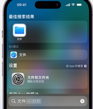 天全apple维修中心分享iPhone文件应用中存储和找到下载文件 