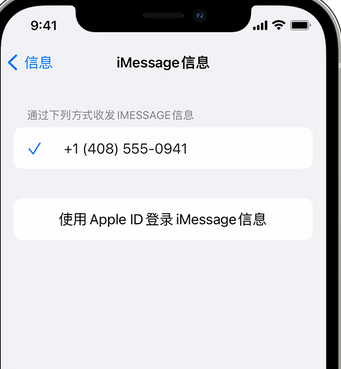 天全apple维修iPhone上无法正常发送iMessage信息 