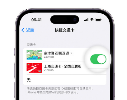 天全apple维修点分享iPhone上更换Apple Pay快捷交通卡手绘卡面 