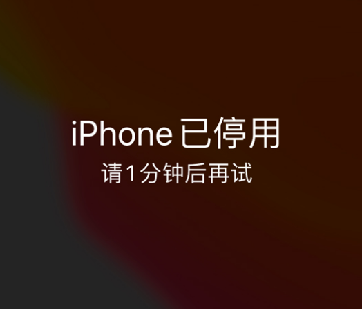 天全苹果手机维修分享:iPhone 显示“不可用”或“已停用”怎么办？还能保留数据吗？ 