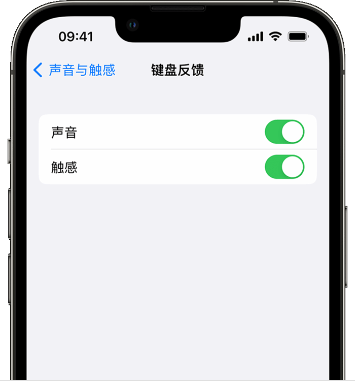 天全苹果14维修店分享如何在 iPhone 14 机型中使用触感键盘 