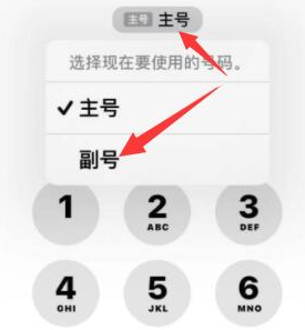 天全苹果14维修店分享iPhone 14 Pro Max使用副卡打电话的方法 