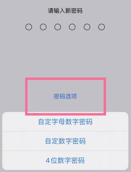 天全苹果14维修分享iPhone 14plus设置密码的方法 