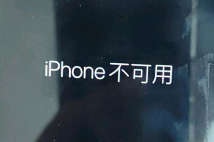 天全苹果服务网点分享锁屏界面显示“iPhone 不可用”如何解决 