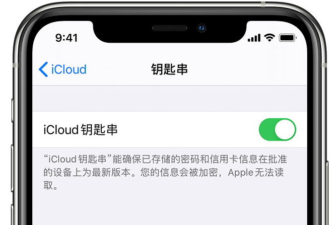 天全苹果手机维修分享在 iPhone 上开启 iCloud 钥匙串之后会储存哪些信息 